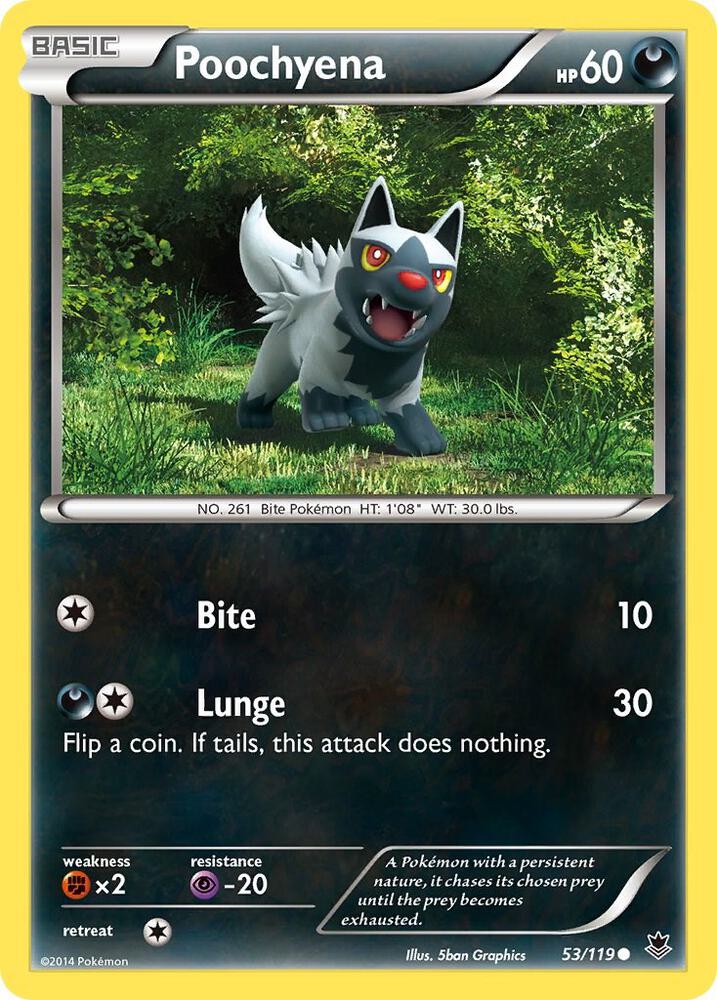 Poochyena 53/119 (XY - Phantom Forces)  | Good Games Adelaide SA