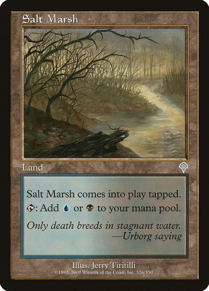 Salt Marsh 326 (Invasion)  | Good Games Adelaide SA
