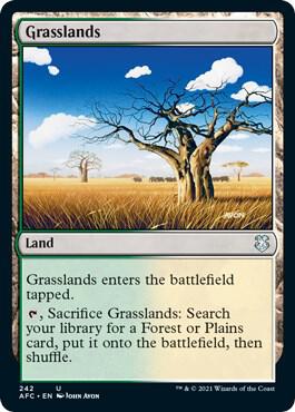Grasslands 242 (Commander: Adventures in the Forgotten Realms)  | Good Games Adelaide SA