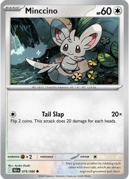 Minccino 075/086 (SV: Black Bolt)  - Reverse Holofoil | Good Games Adelaide SA