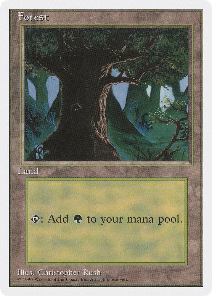 Forest C 67 (Introductory Two-Player Set)  | Good Games Adelaide SA