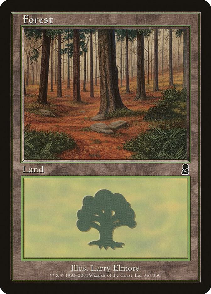 Forest 347 (Odyssey)  - Foil | Good Games Adelaide SA