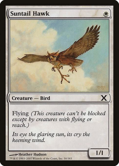 Suntail Hawk 50 (10th Edition)  | Good Games Adelaide SA