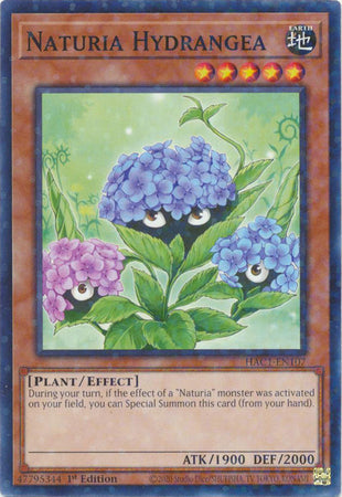 Naturia Hydrangea (Duel Terminal) [HAC1-EN107] Common | Good Games Adelaide SA