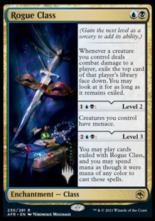 Rogue Class (Promo Pack) [Dungeons & Dragons: Adventures in the Forgotten Realms Promos] | Good Games Adelaide SA