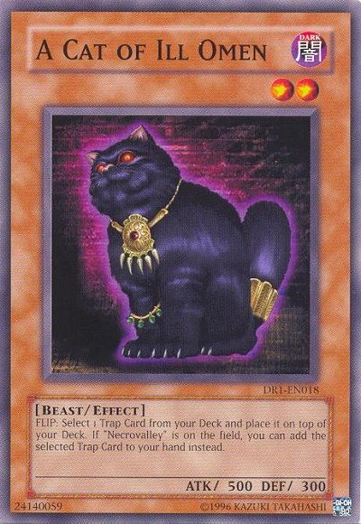 A Cat of Ill Omen [DR1-EN018] Common | Good Games Adelaide SA