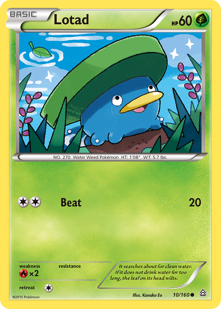 Lotad (10/160) [XY: Primal Clash] | Good Games Adelaide SA