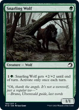Snarling Wolf 199 (Innistrad: Midnight Hunt)  - Foil | Good Games Adelaide SA