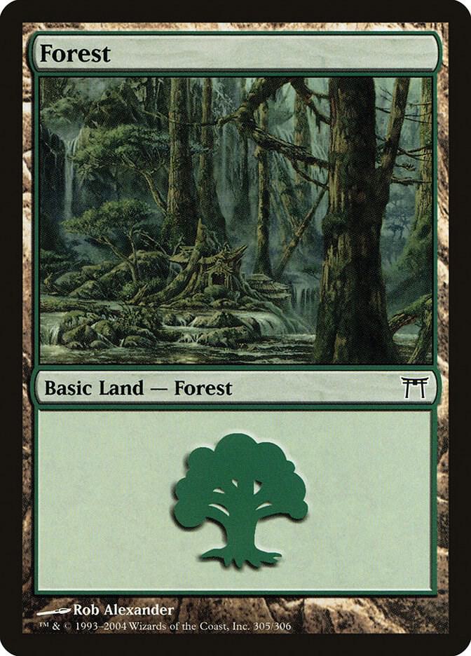 Forest 305 (Champions of Kamigawa)  - Foil | Good Games Adelaide SA