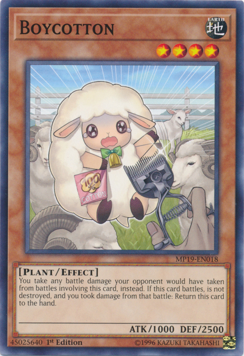 Boycotton [MP19-EN018] Common | Good Games Adelaide SA