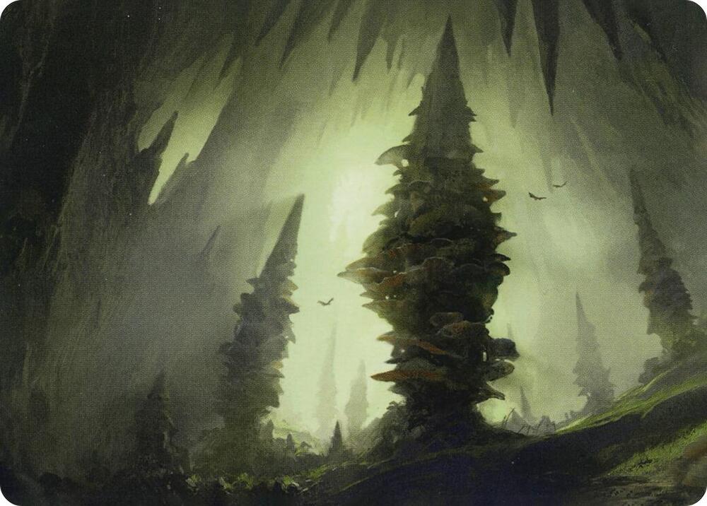 Forest 55 81 Art Card 55 (Art Series: Adventures in the Forgotten Realms)  | Good Games Adelaide SA