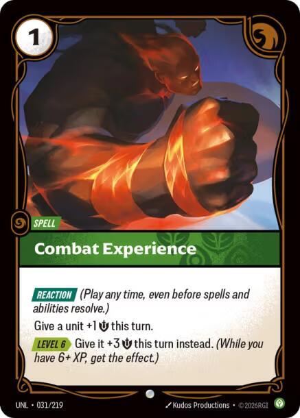Combat Experience 31/219 (Unleashed)  - Foil | Good Games Adelaide SA