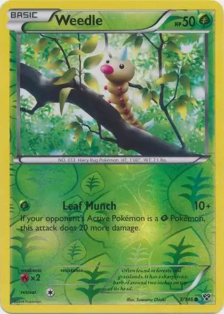 Weedle 3/146 (XY Base Set)  - Reverse Holofoil | Good Games Adelaide SA