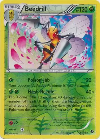 Beedrill 5/146 (XY Base Set)  - Reverse Holofoil | Good Games Adelaide SA