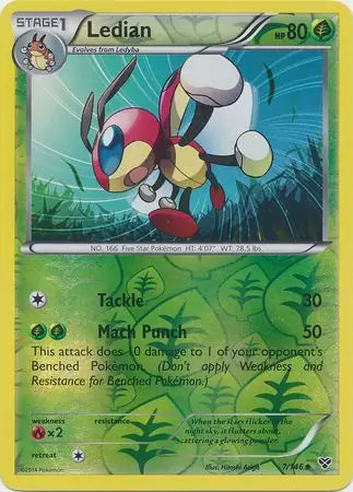 Ledian 7/146 (XY Base Set)  - Reverse Holofoil | Good Games Adelaide SA