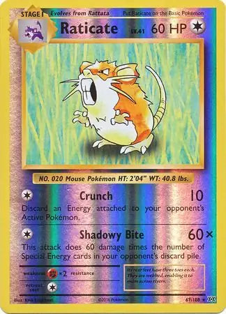 Raticate 67/108 (XY - Evolutions)  - Reverse Holofoil | Good Games Adelaide SA