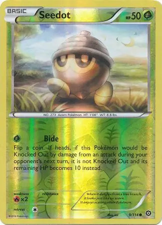 Seedot 9/114 (XY - Steam Siege)  - Reverse Holofoil | Good Games Adelaide SA