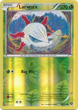 Larvesta 14/114 (XY - Steam Siege)  - Reverse Holofoil | Good Games Adelaide SA