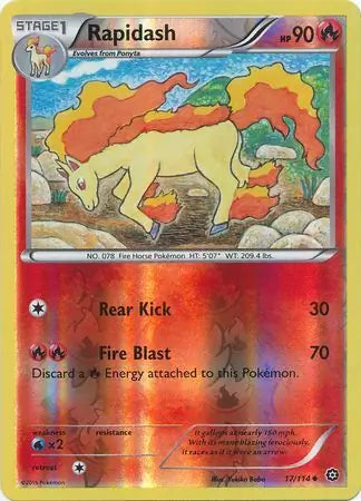 Rapidash 17/114 (XY - Steam Siege)  - Reverse Holofoil | Good Games Adelaide SA