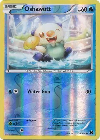 Oshawott 30/114 (XY - Steam Siege)  - Reverse Holofoil | Good Games Adelaide SA