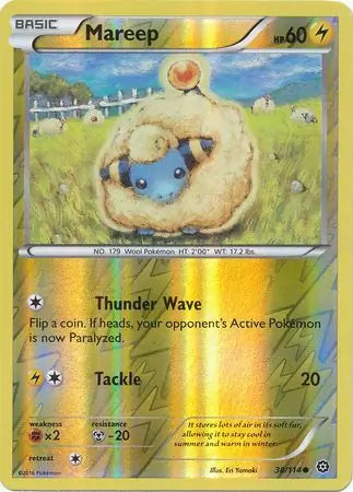 Mareep 38/114 (XY - Steam Siege)  - Reverse Holofoil | Good Games Adelaide SA