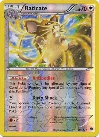 Raticate 88/122 (XY - BREAKpoint)  - Reverse Holofoil | Good Games Adelaide SA