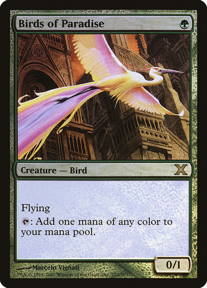 Birds of Paradise 252 (10th Edition)  - Foil | Good Games Adelaide SA
