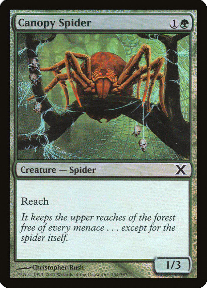 Canopy Spider 254 (10th Edition)  - Foil | Good Games Adelaide SA