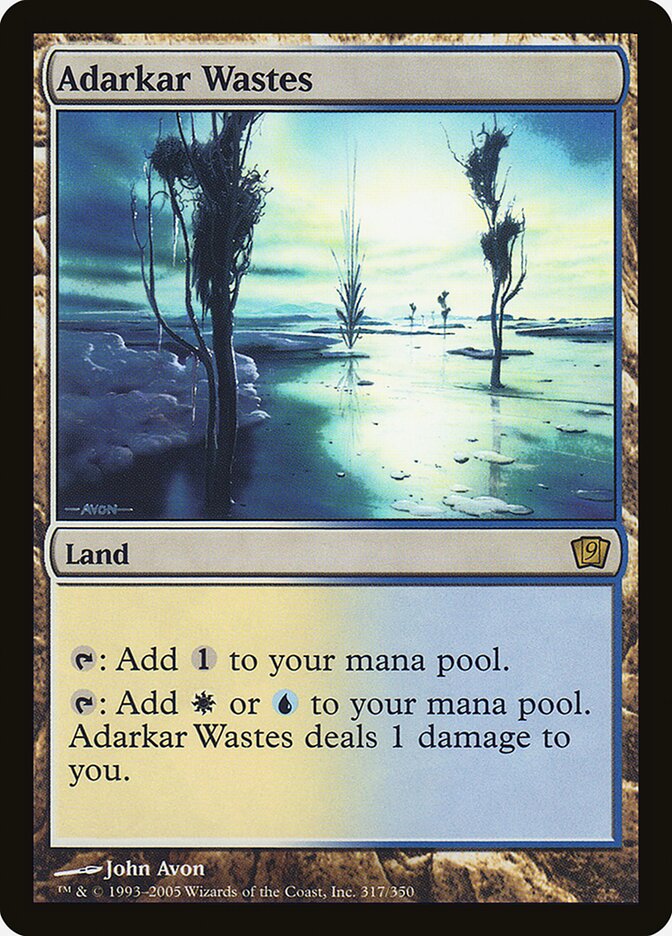 Adarkar Wastes 317 (9th Edition)  - Foil | Good Games Adelaide SA