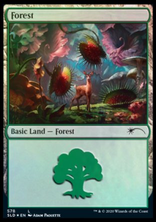 Forest (Predatory) (578) [Secret Lair Drop Promos] | Good Games Adelaide SA
