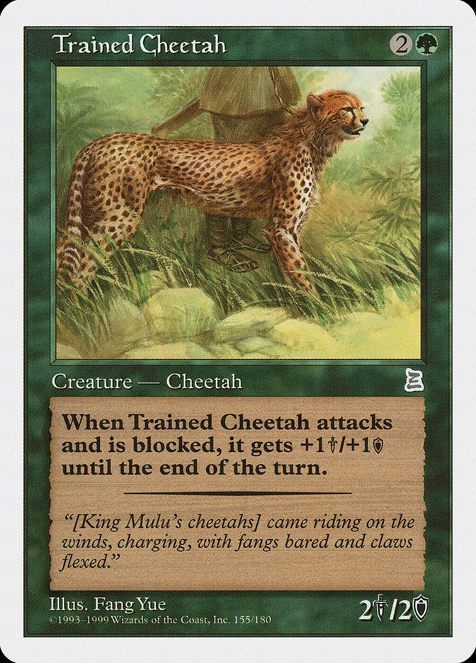 Trained Cheetah 155 (Portal Three Kingdoms)  | Good Games Adelaide SA