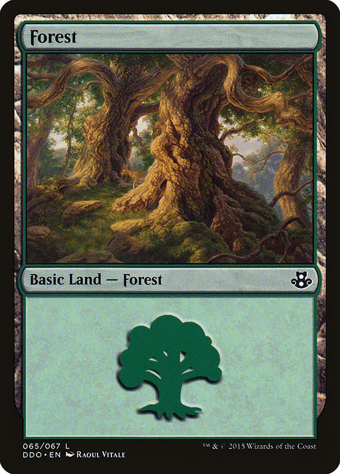 Forest (65) [Duel Decks: Elspeth vs. Kiora] | Good Games Adelaide SA