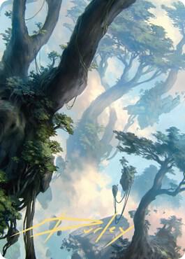 Forest Art Card 19 81 Gold Stamped Signature 19 (Art Series: Zendikar Rising)  | Good Games Adelaide SA