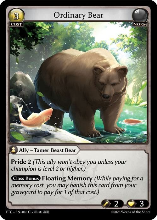 Ordinary Bear 040 (Fractured Crown)  | Good Games Adelaide SA