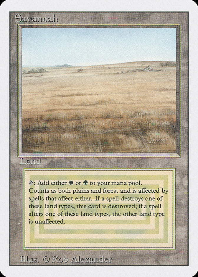 Savannah  (Revised Edition)  | Good Games Adelaide SA