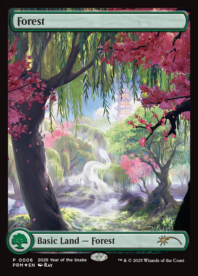 Forest 6 (Standard Showdown Promos)  - Foil | Good Games Adelaide SA