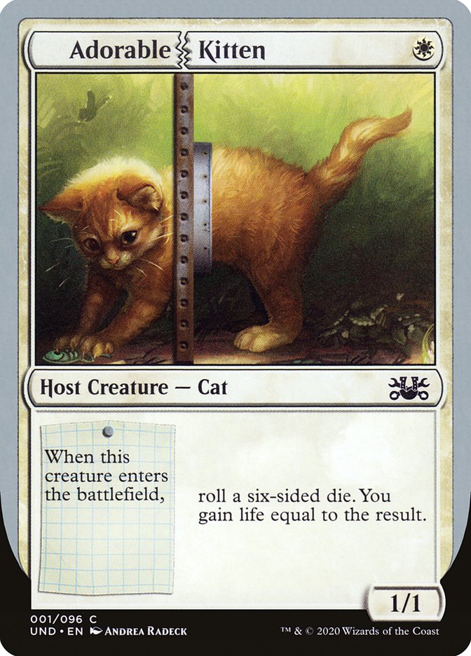 Adorable Kitten 1 (Unsanctioned)  | Good Games Adelaide SA