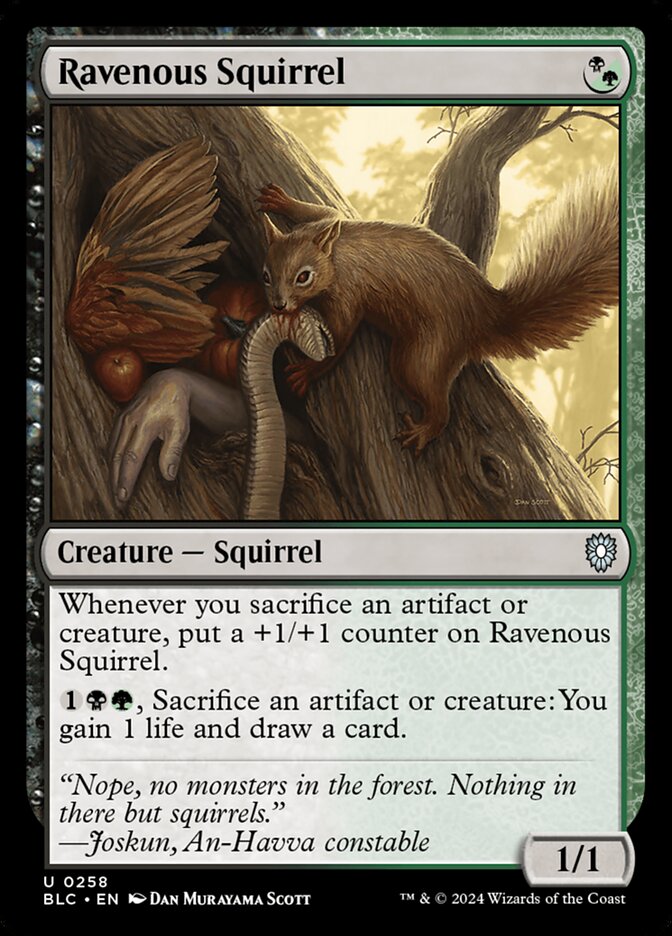 Ravenous Squirrel 258 (Commander: Bloomburrow)  | Good Games Adelaide SA