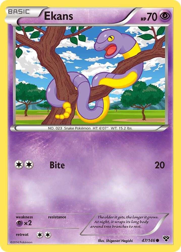 Ekans 47/146 (XY Base Set)  | Good Games Adelaide SA