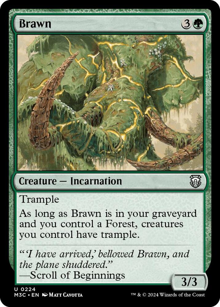 Brawn 224/411 (Commander: Modern Horizons 3)  - Ripple Foil | Good Games Adelaide SA