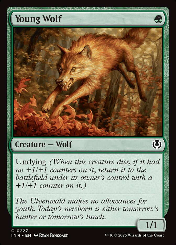 Young Wolf 227 (Innistrad Remastered)  | Good Games Adelaide SA