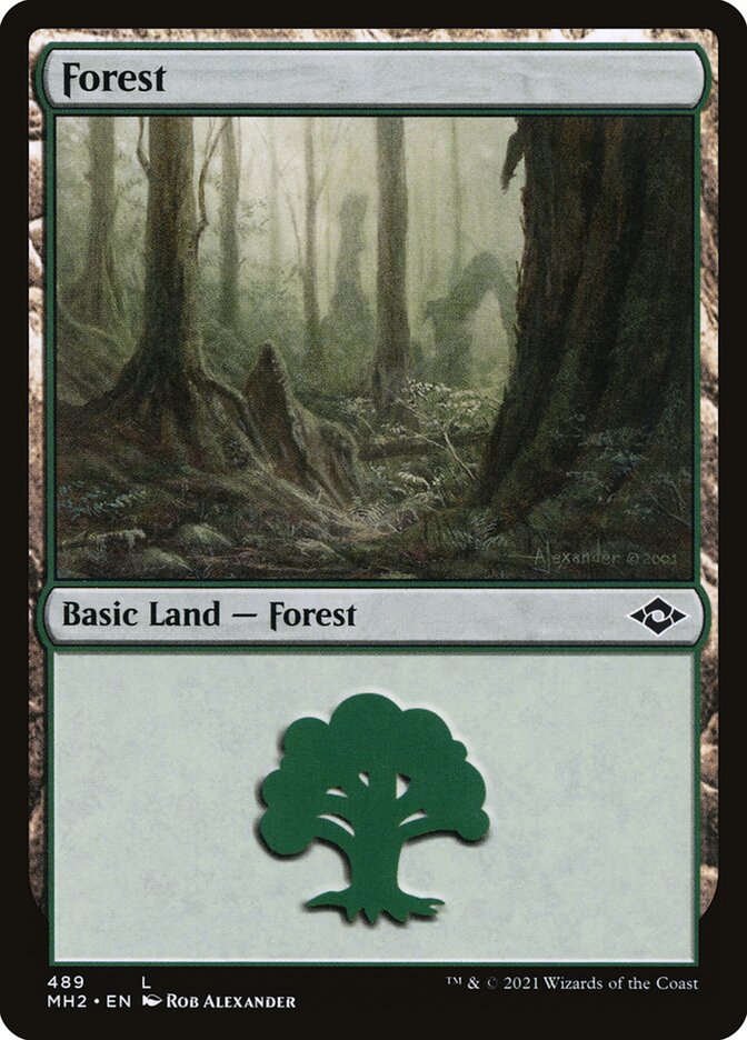 Forest 489 489 (Modern Horizons 2)  - Foil | Good Games Adelaide SA