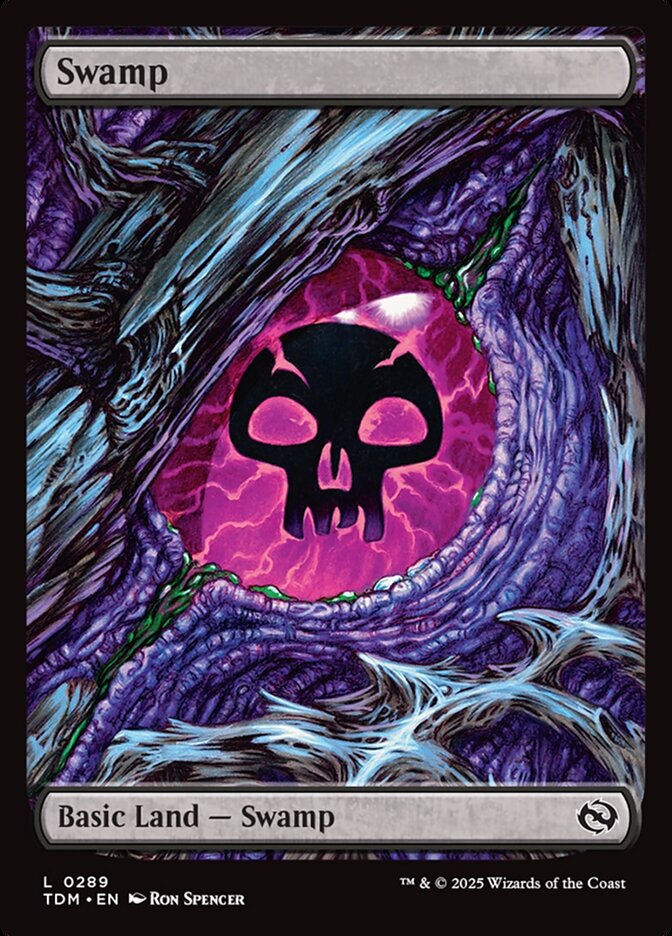 Swamp 289 (Tarkir: Dragonstorm)  | Good Games Adelaide SA