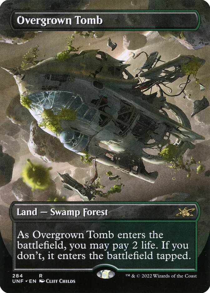 Overgrown Tomb Borderless 284 (Unfinity)  | Good Games Adelaide SA