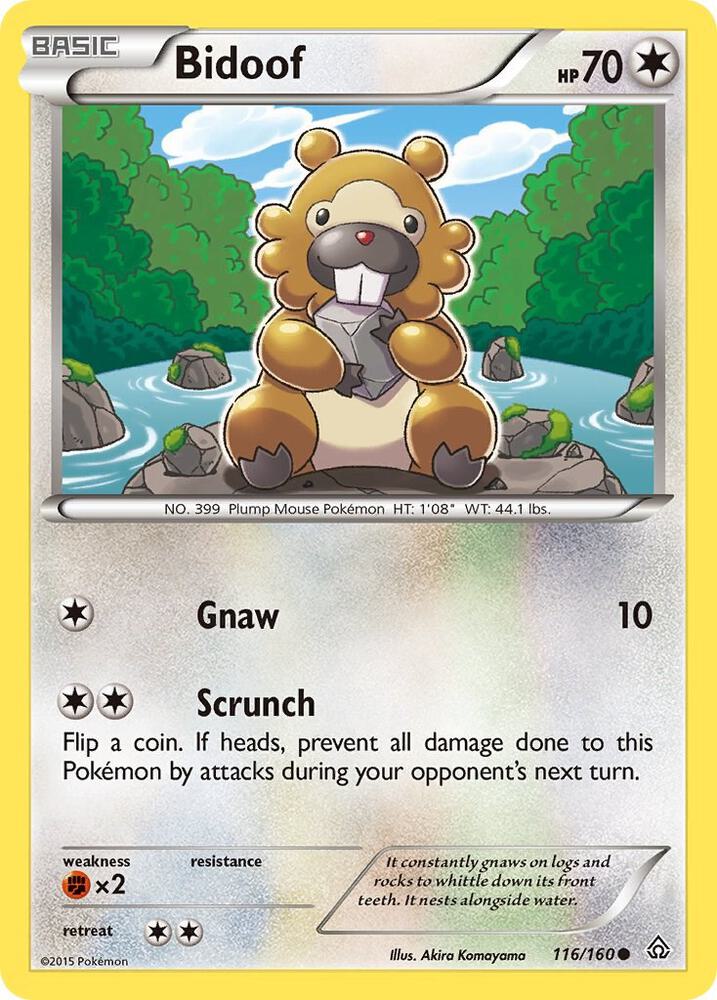 Bidoof 116/160 (XY - Primal Clash)  | Good Games Adelaide SA