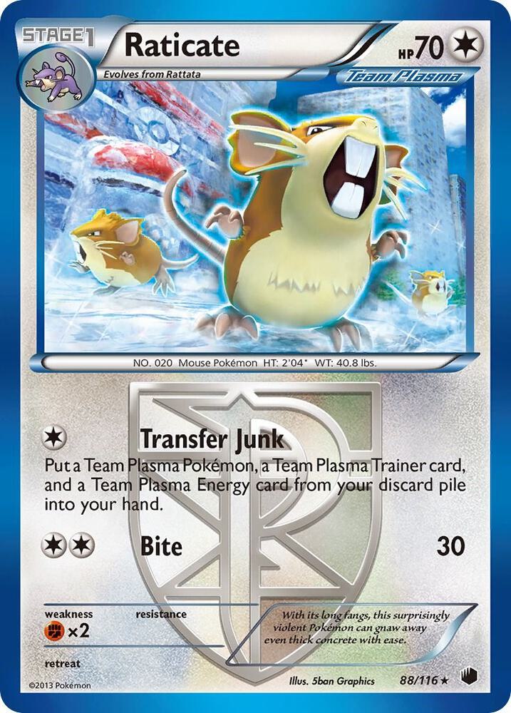 Raticate Team Plasma 88/116 (Plasma Freeze)  - Reverse Holofoil | Good Games Adelaide SA