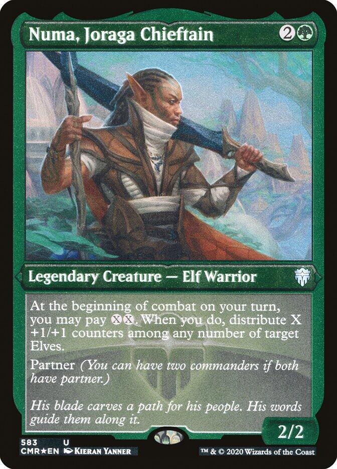 Numa Joraga Chieftain Foil Etched 583 (Commander Legends)  - Foil | Good Games Adelaide SA