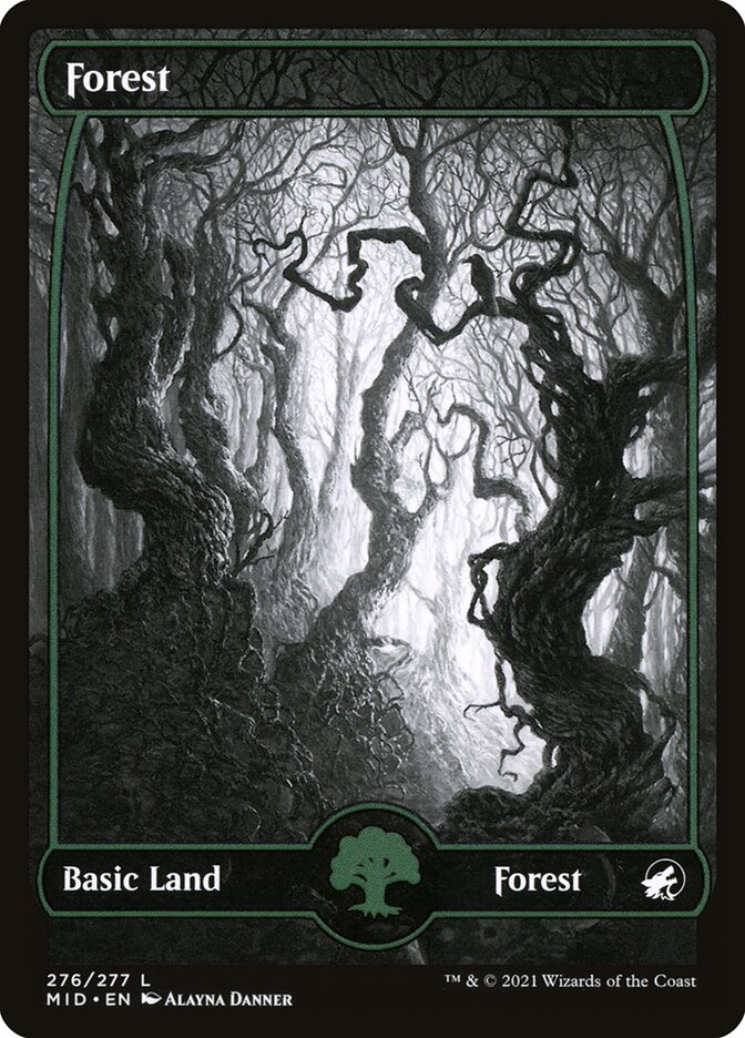 Forest 276 276 (Innistrad: Midnight Hunt)  - Foil | Good Games Adelaide SA