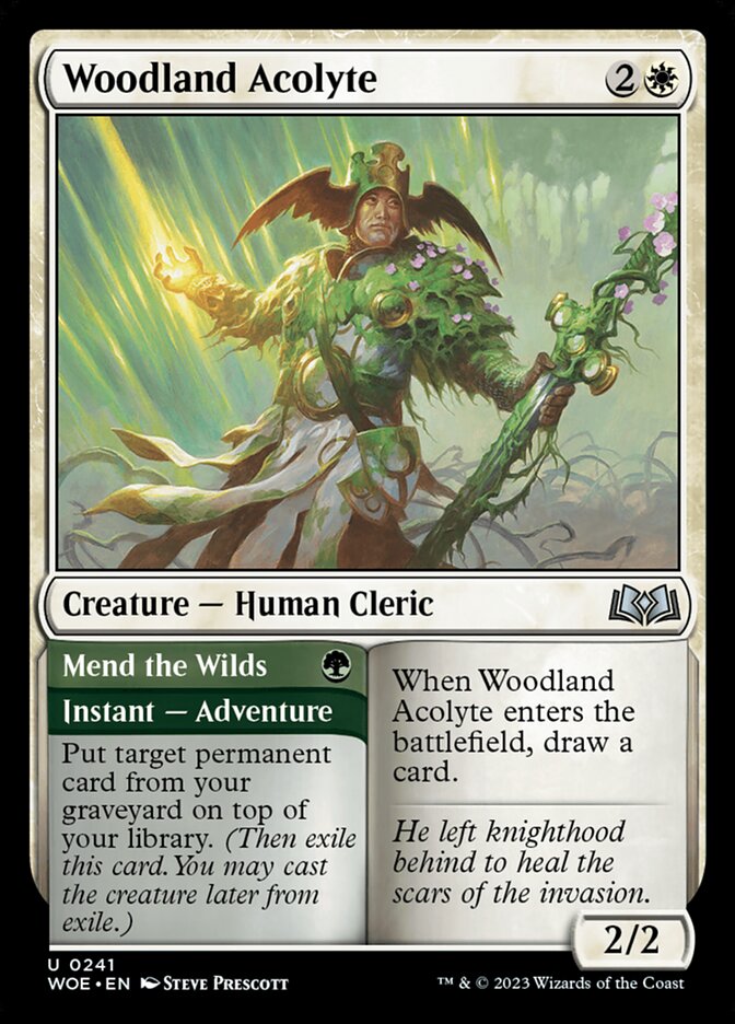 Woodland Acolyte // Mend the Wilds 241 (Wilds of Eldraine)  - Foil | Good Games Adelaide SA