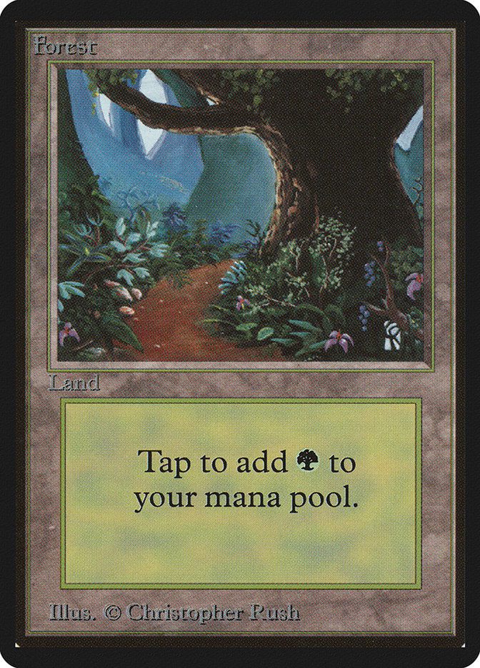Forest  (Beta Edition)  | Good Games Adelaide SA